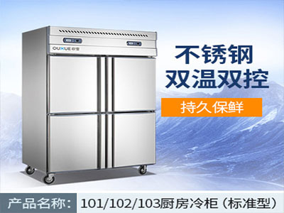 標(biāo)準(zhǔn)廚房冷柜